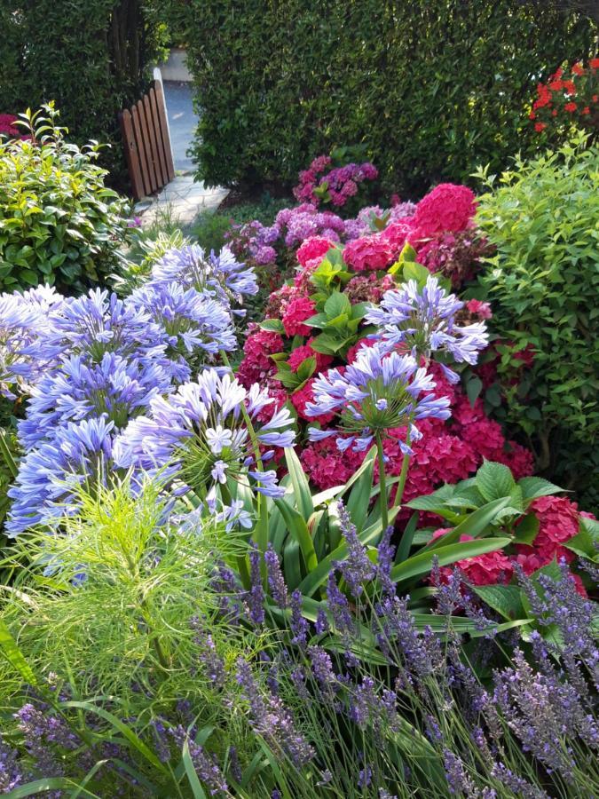 Les Puits Bessin Normandie Sommervieu المظهر الخارجي الصورة