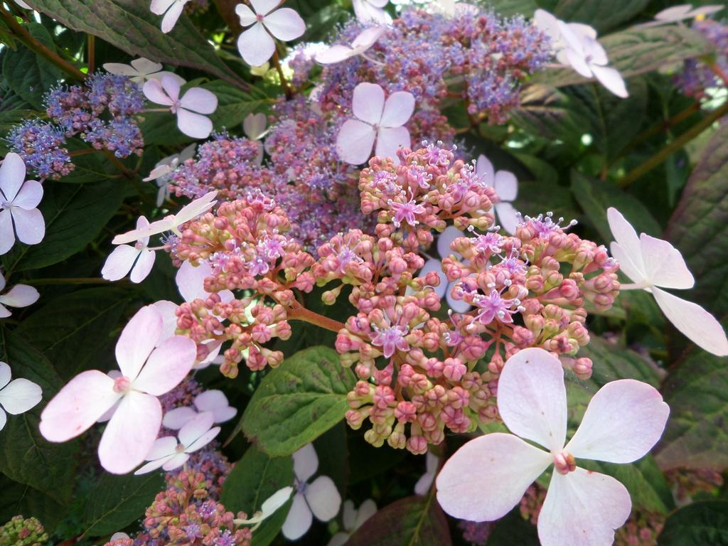 Les Puits Bessin Normandie Sommervieu الغرفة الصورة