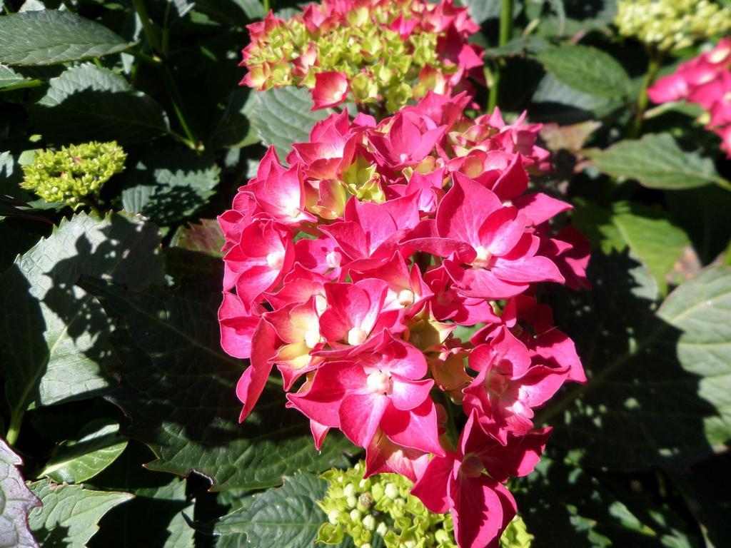 Les Puits Bessin Normandie Sommervieu الغرفة الصورة